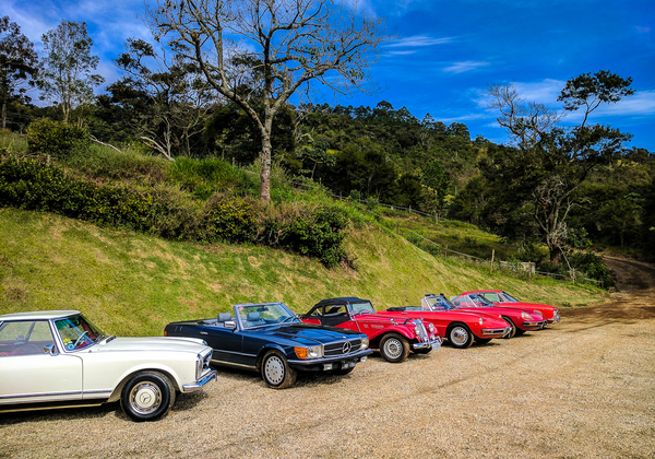  - Alfa Romeo Clube do Brasil