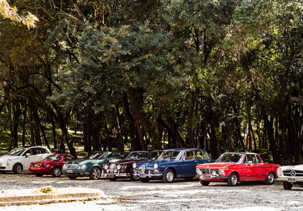  - Alfa Romeo Clube do Brasil