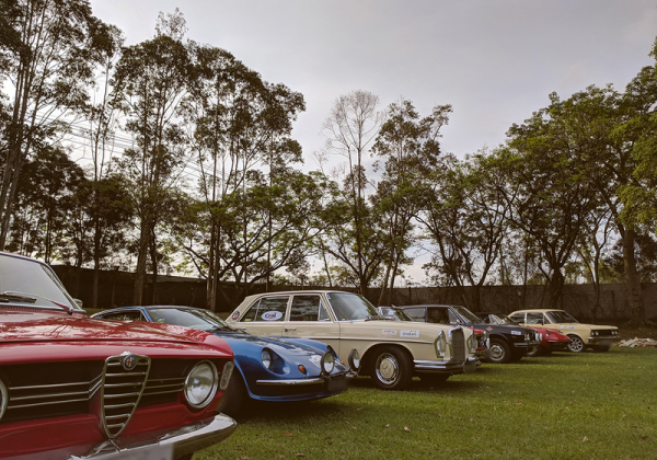  - Alfa Romeo Clube do Brasil