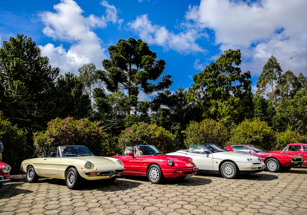  - Alfa Romeo Clube do Brasil