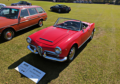  - Alfa Romeo Clube do Brasil