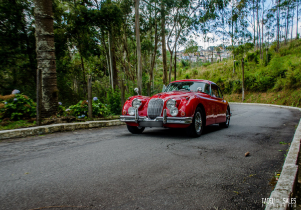 O Raid conta com a presença desde clássicos como o Jaguar XK… Foto: Tadeu Sales. - Alfa Romeo Clube do Brasil
